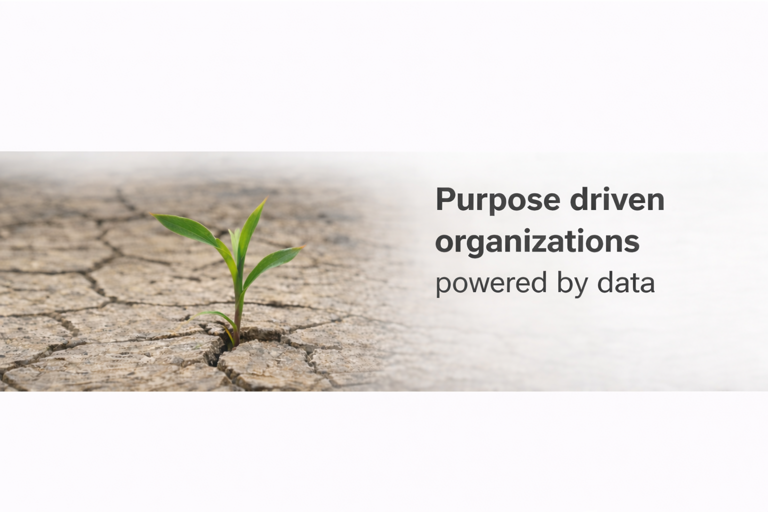 Growth and resilience sprout